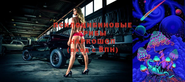 гашик Покровск