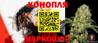 каннабис Канаш