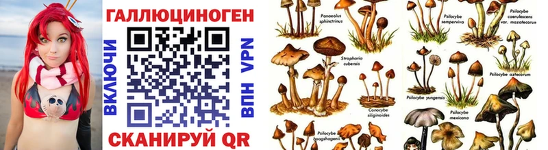 Псилоцибиновые грибы Psilocybine cubensis  Сердобск 