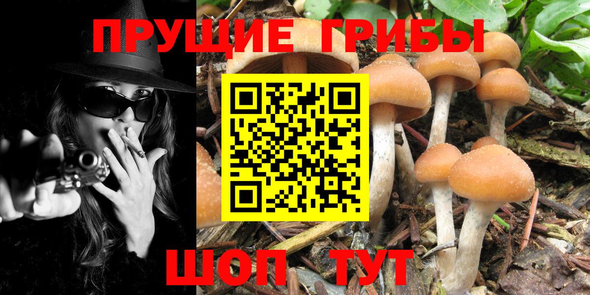 Галлюциногенные грибы прущие грибы Сердобск