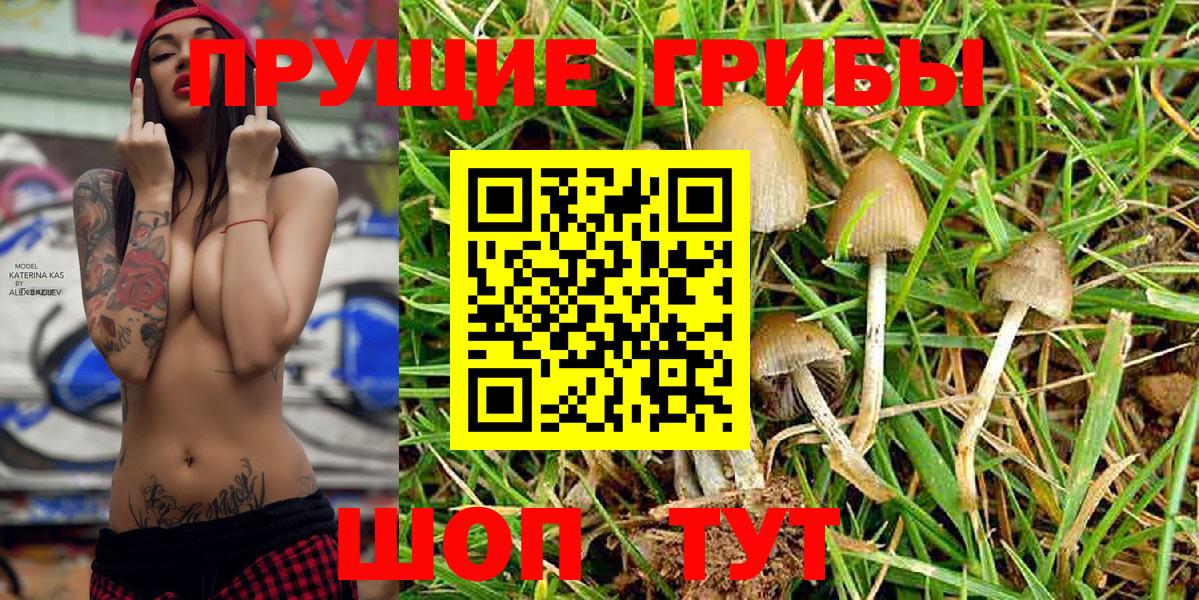 Псилоцибиновые грибы MAGIC MUSHROOMS  Сердобск  Галлюциногенные грибы ЛСД 