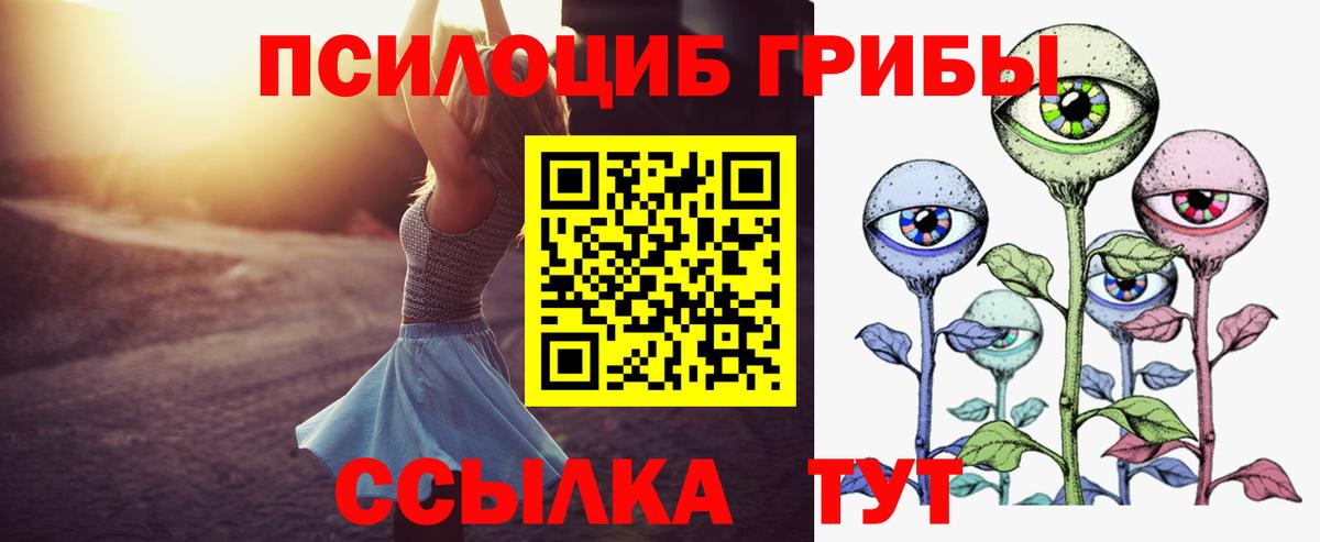Псилоцибиновые грибы Psilocybine cubensis  Вход с VPN  Сердобск  Псилоцибиновые грибы Cubensis 