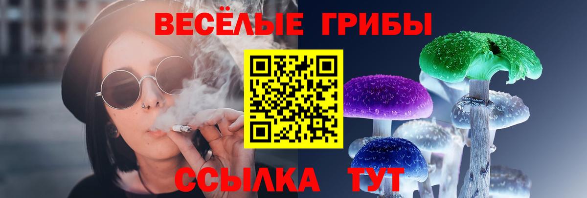 Галлюциногенные грибы мицелий Сердобск